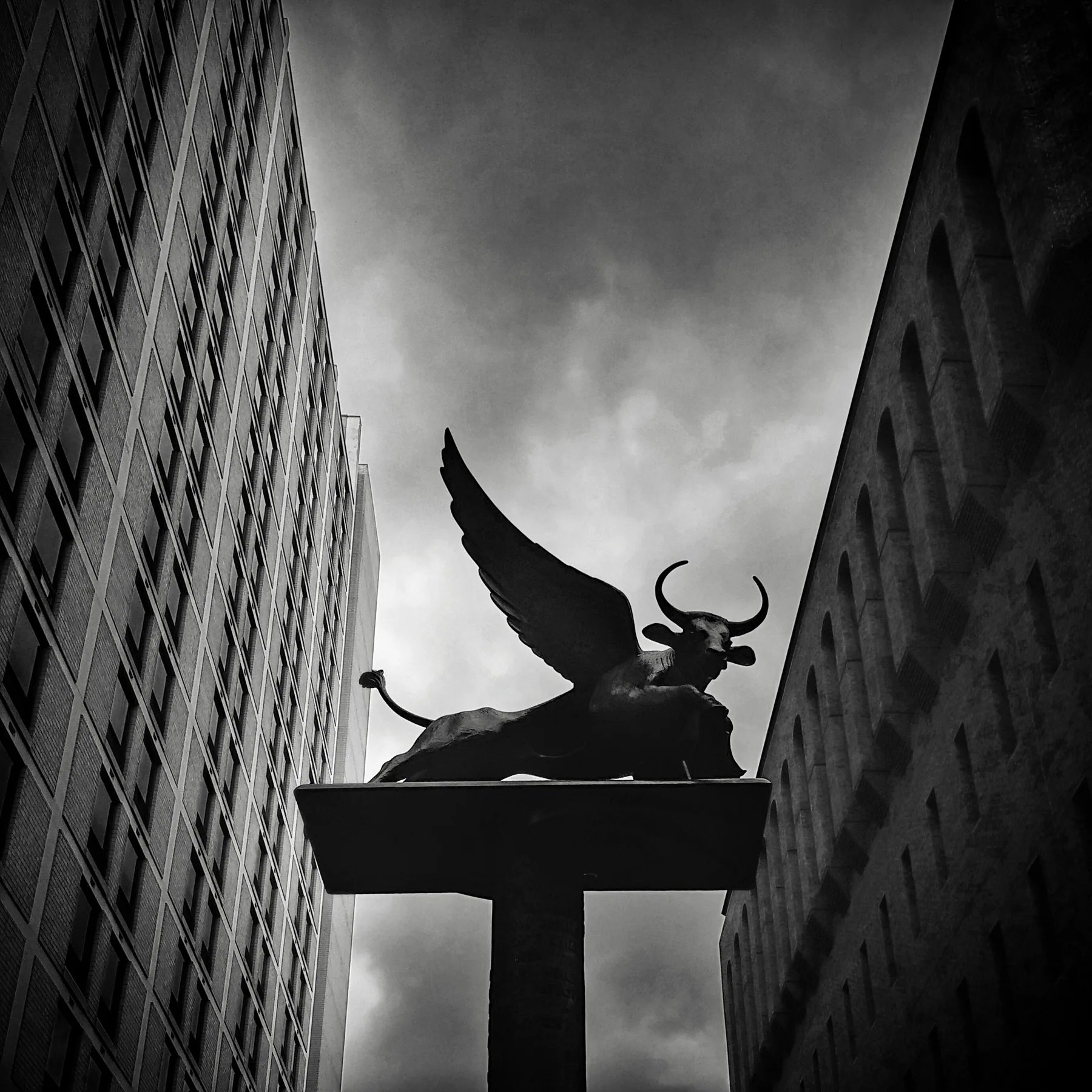 Photography — piece 23