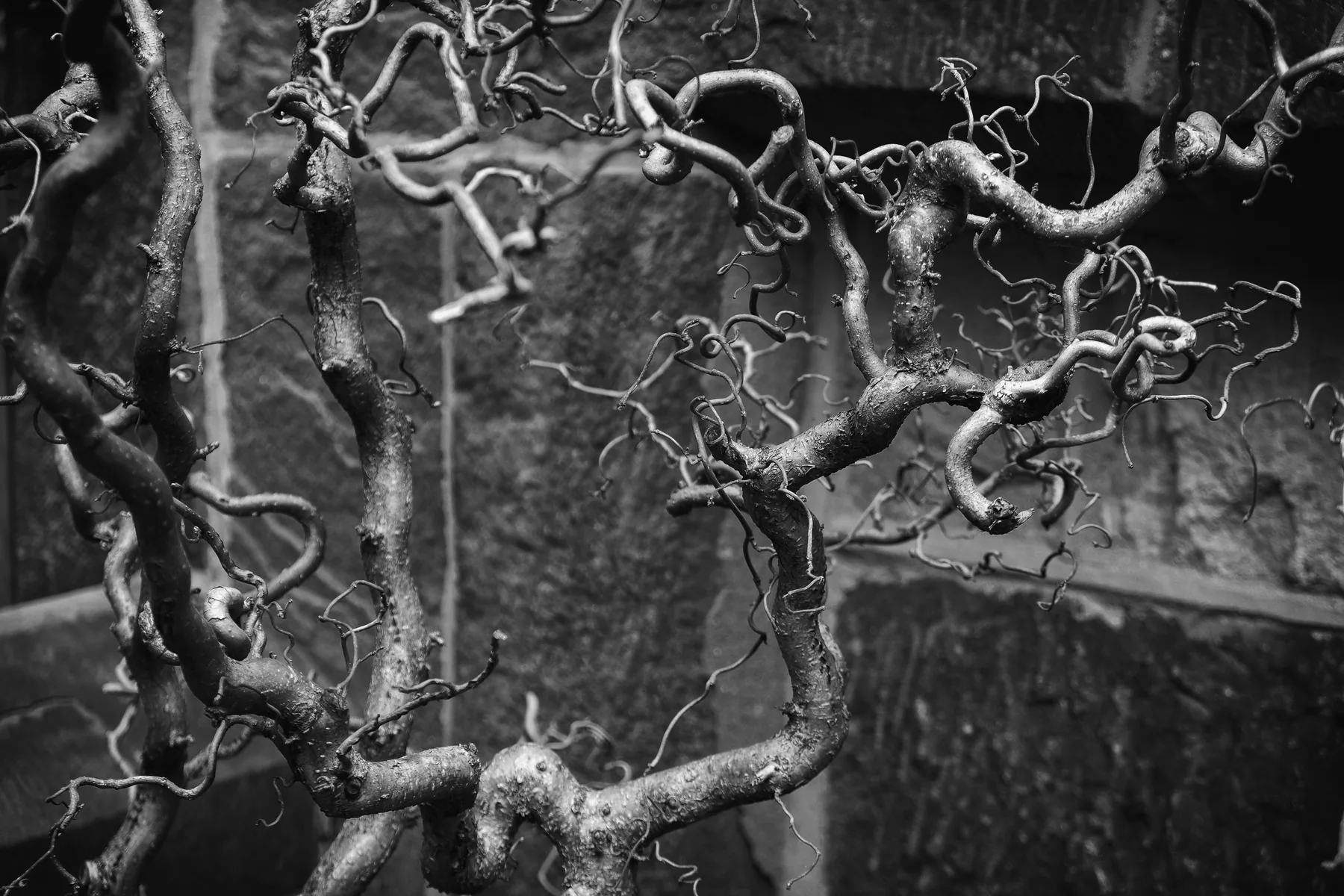 Photography — piece 3