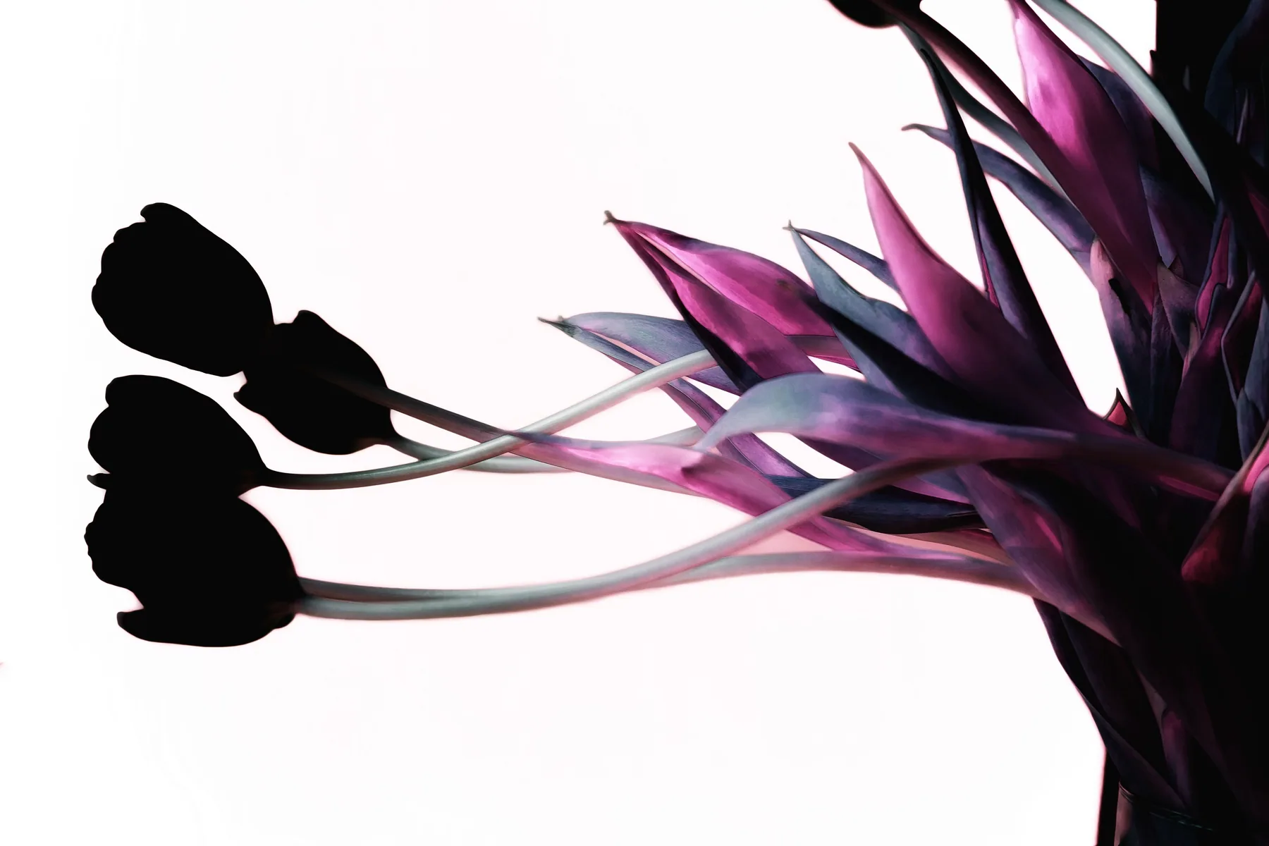Photography — piece 34