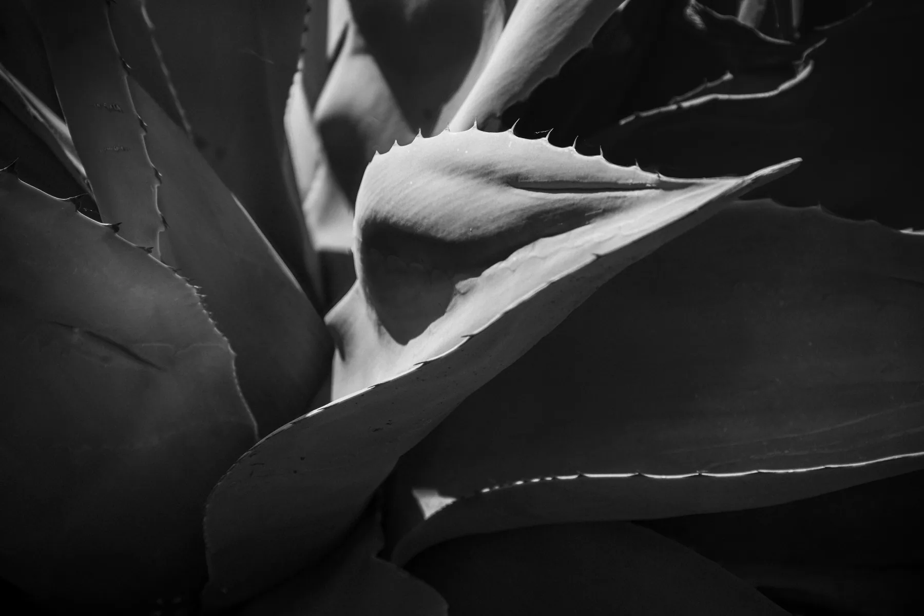 Photography — piece 30