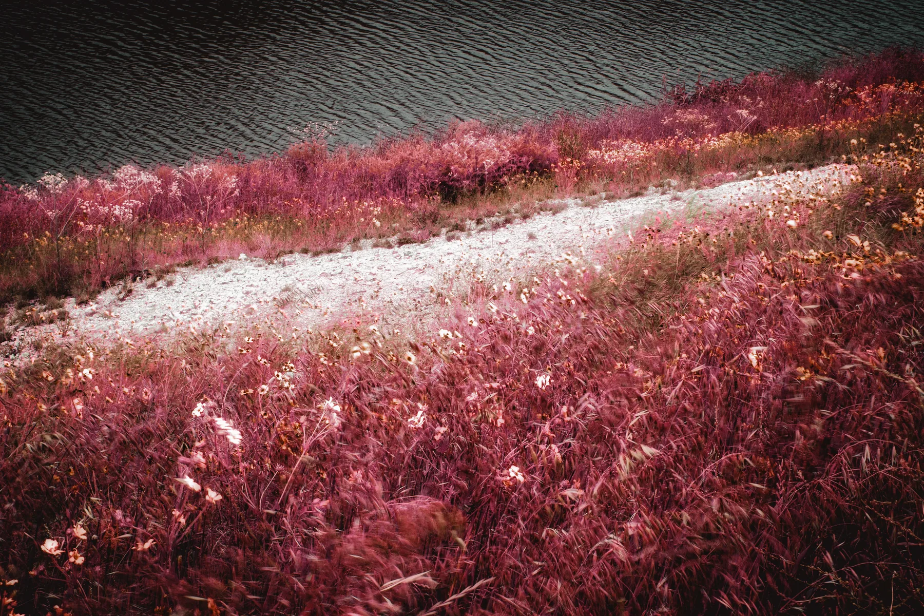 Photography — piece 9