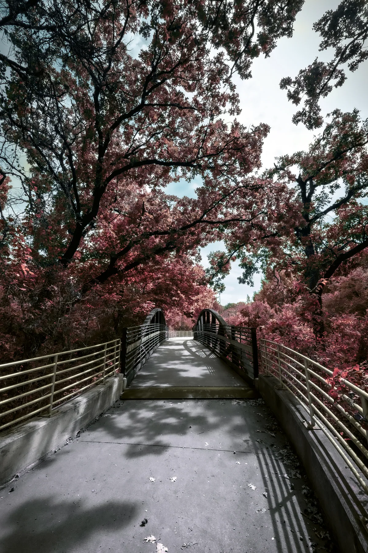 Photography — piece 29