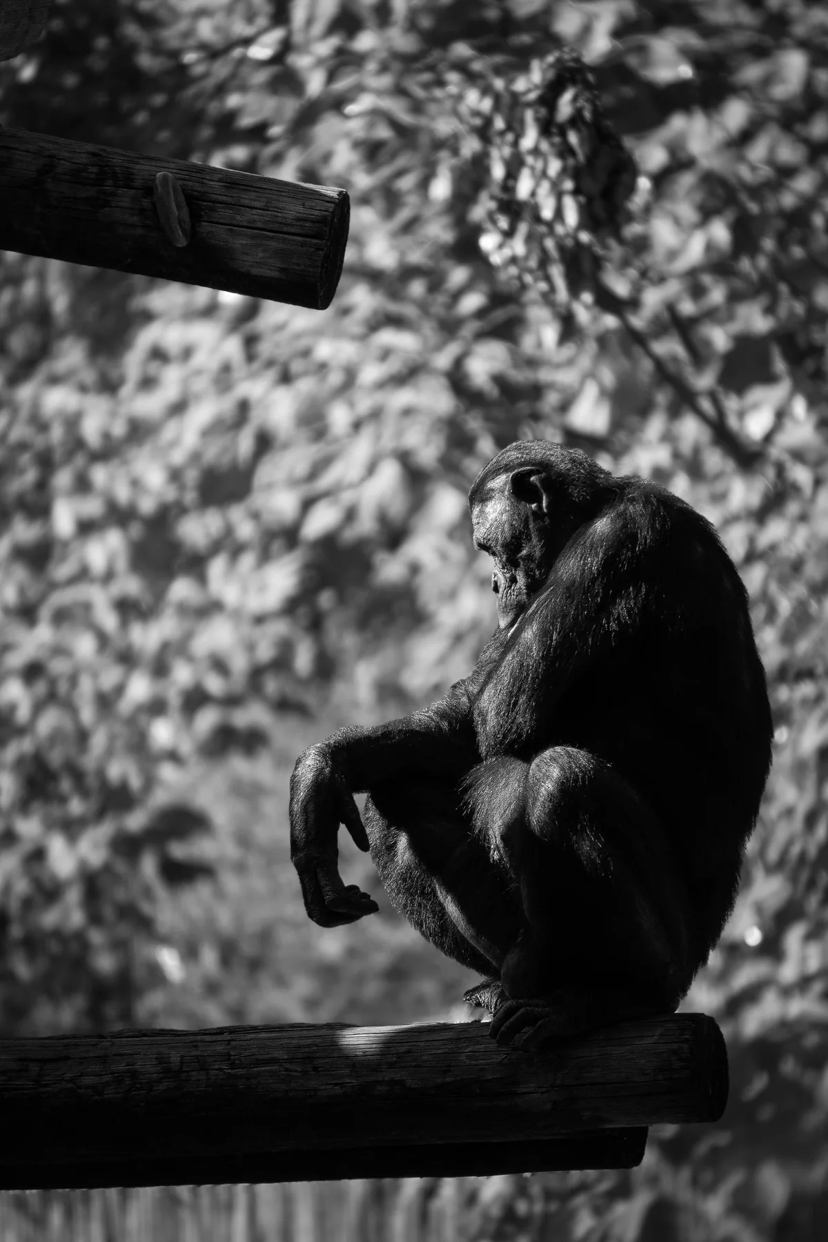 Photography — piece 10