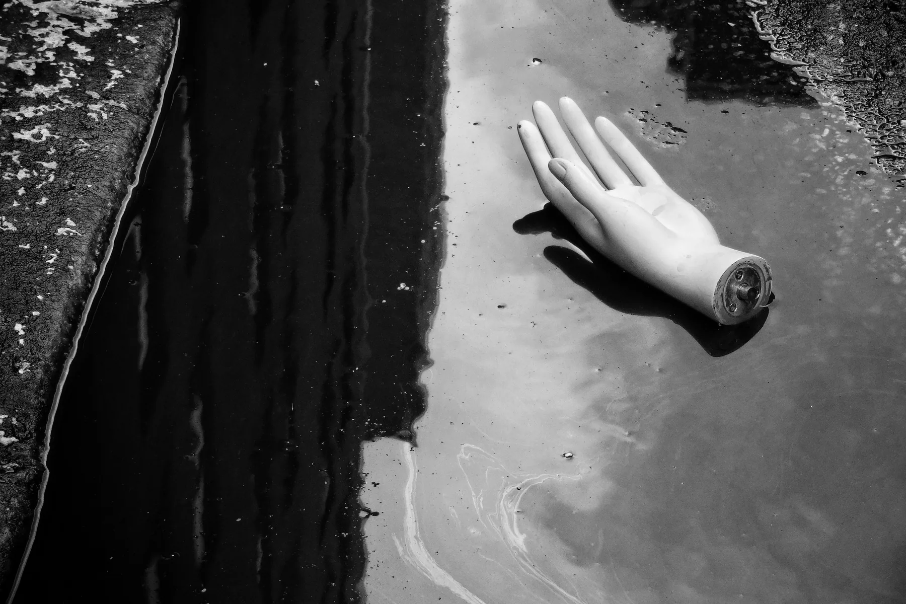 Photography — piece 28
