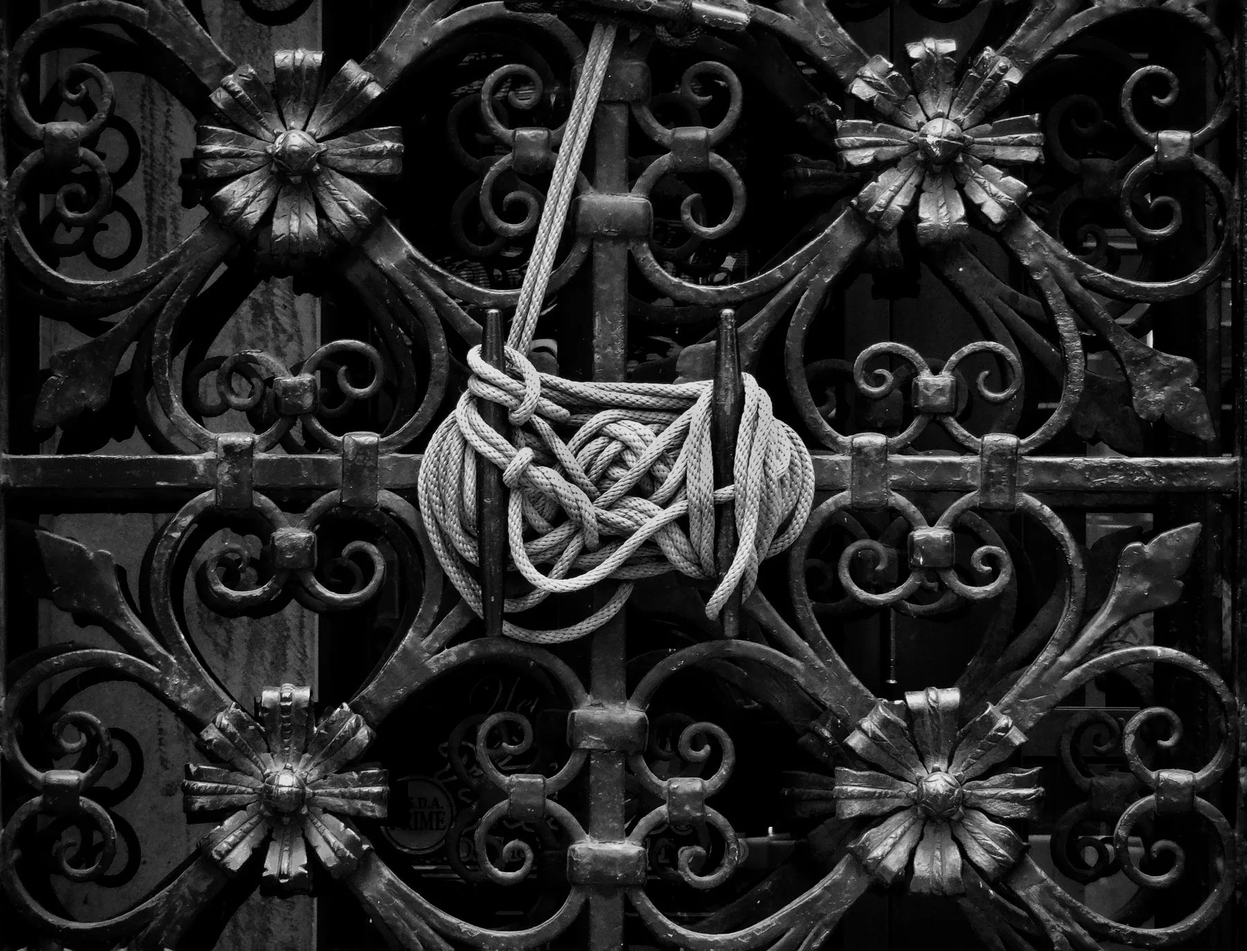 Photography — piece 20