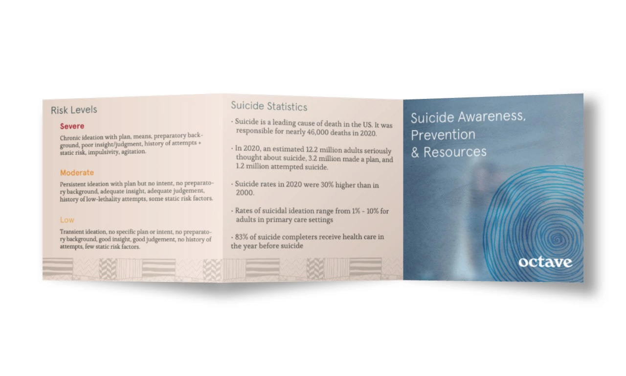 Suicide prevention Z-fold brochure spread